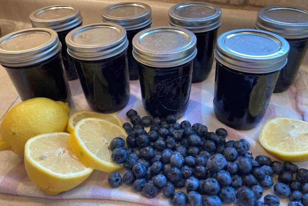 Tastes Like Summer Blueberry & Lemon Jam Makes 8 Half Pint Jars of Jam