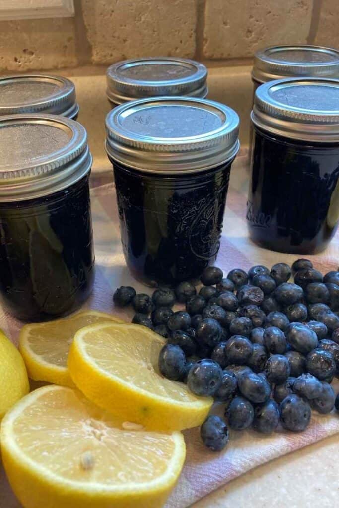 Canned "Tastes Like Summer" Blueberry and Lemon Jam