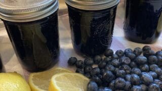 Finished "Tastes Like Summer" Blueberry & Lemon Jam Recipe