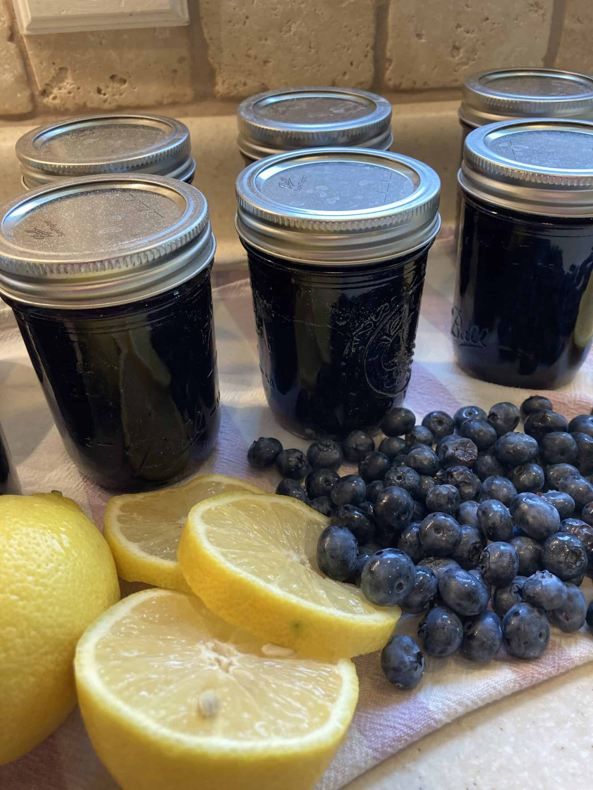Finished "Tastes Like Summer" Blueberry & Lemon Jam Recipe