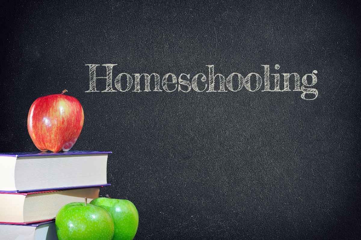 how we started homeschooling